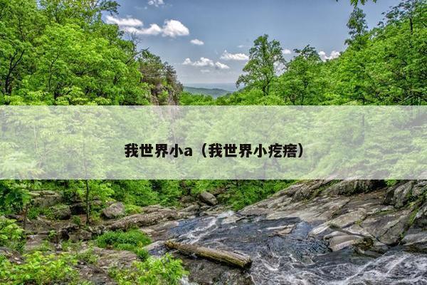 我世界小a（我世界小疙瘩）