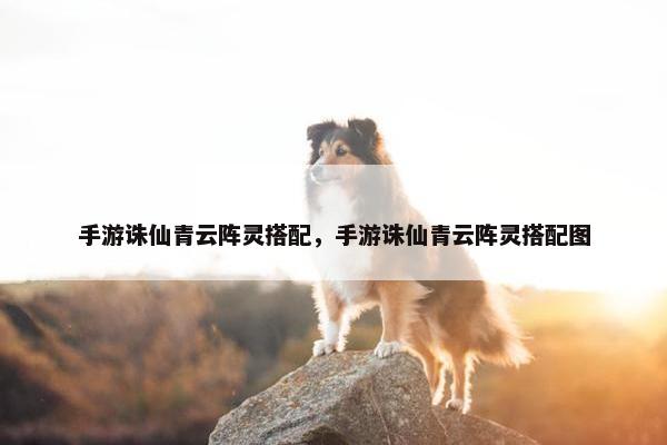手游诛仙青云阵灵搭配，手游诛仙青云阵灵搭配图