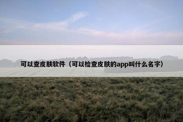 可以查皮肤软件（可以检查皮肤的app叫什么名字）