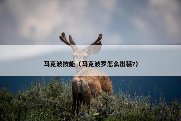 马克波技能（马克波罗怎么出装?）