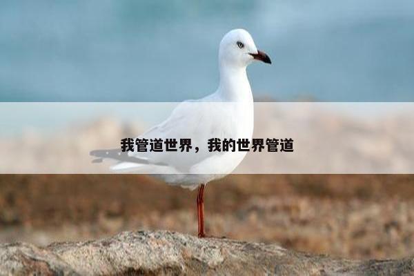我管道世界，我的世界管道