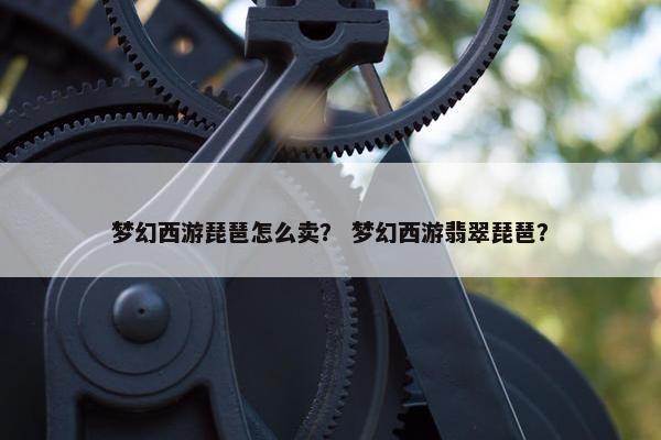 梦幻西游琵琶怎么卖？ 梦幻西游翡翠琵琶？