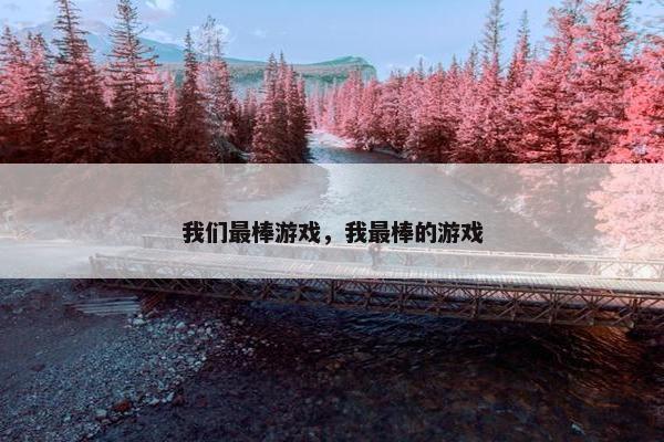 我们最棒游戏，我最棒的游戏