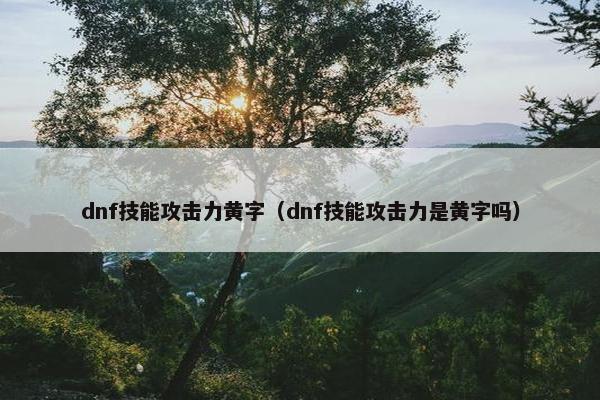 dnf技能攻击力黄字（dnf技能攻击力是黄字吗）