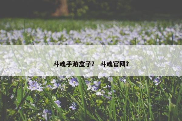 斗魂手游盒子？ 斗魂官网？