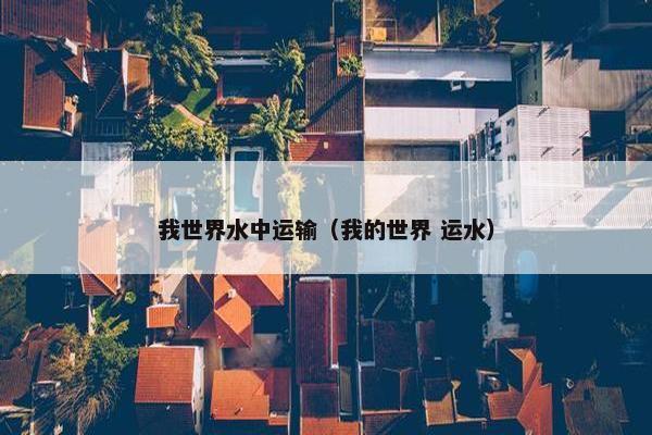 我世界水中运输（我的世界 运水）