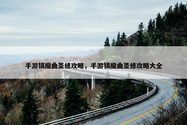 手游镇魔曲圣修攻略，手游镇魔曲圣修攻略大全