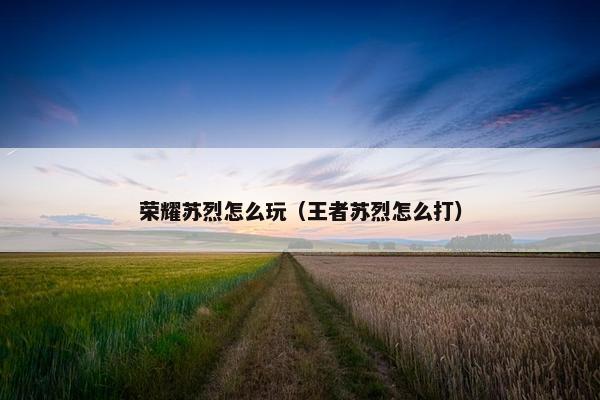 荣耀苏烈怎么玩（王者苏烈怎么打）