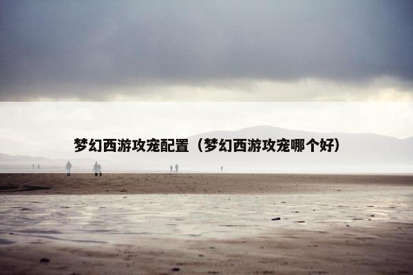 梦幻西游攻宠配置（梦幻西游攻宠哪个好）