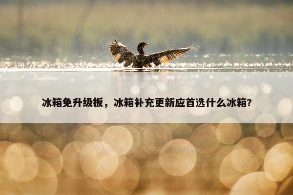 冰箱免升级板，冰箱补充更新应首选什么冰箱?