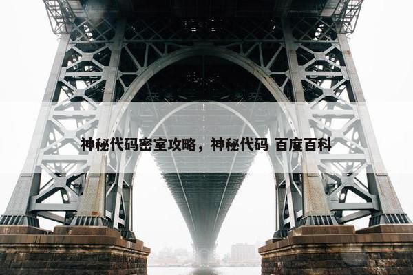 神秘代码密室攻略，神秘代码 百度百科