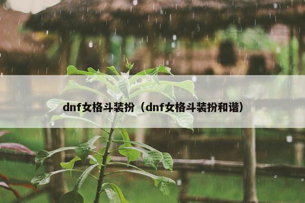 dnf女格斗装扮（dnf女格斗装扮和谐）