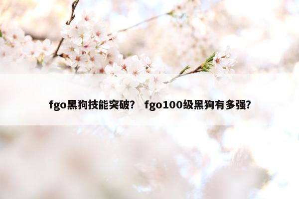 fgo黑狗技能突破？ fgo100级黑狗有多强？