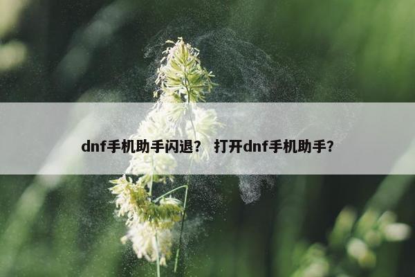 dnf手机助手闪退？ 打开dnf手机助手？
