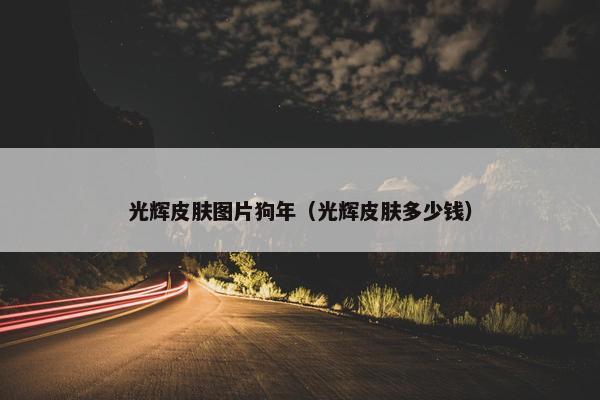 光辉皮肤图片狗年（光辉皮肤多少钱）
