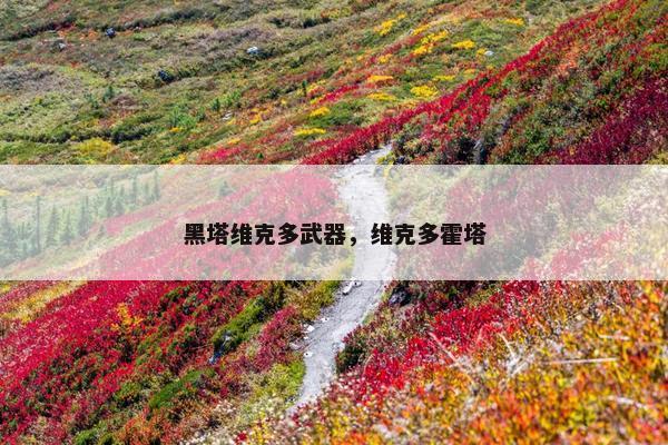 黑塔维克多武器，维克多霍塔
