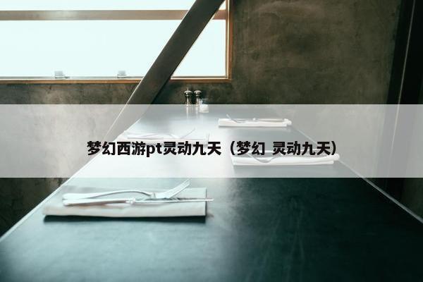 梦幻西游pt灵动九天（梦幻 灵动九天）