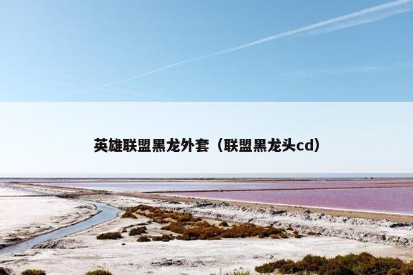 英雄联盟黑龙外套（联盟黑龙头cd）