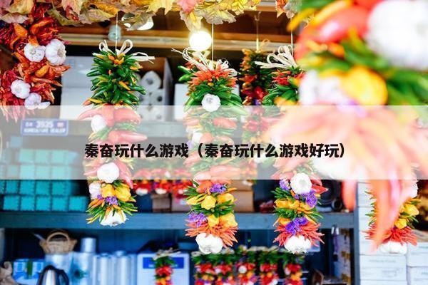 秦奋玩什么游戏（秦奋玩什么游戏好玩）