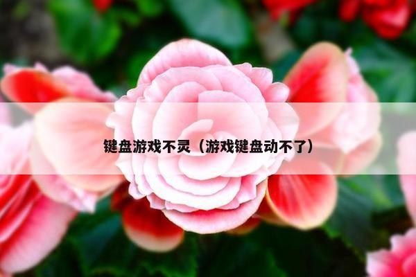 键盘游戏不灵（游戏键盘动不了）