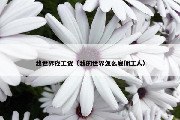 我世界找工资（我的世界怎么雇佣工人）