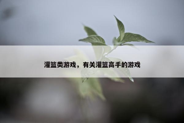 灌篮类游戏，有关灌篮高手的游戏
