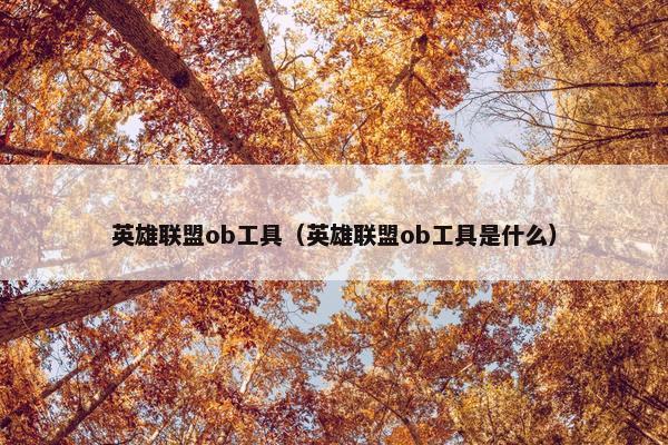 英雄联盟ob工具（英雄联盟ob工具是什么）