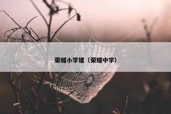 荣耀小学猪（荣耀中学）