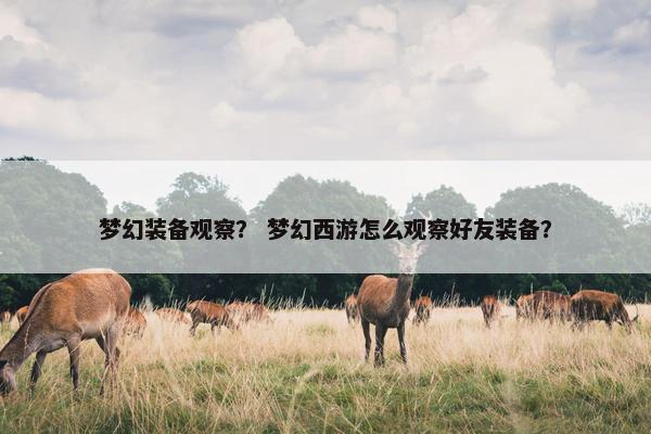 梦幻装备观察？ 梦幻西游怎么观察好友装备？