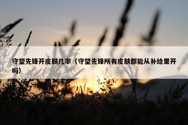守望先锋开皮肤几率（守望先锋所有皮肤都能从补给里开吗）
