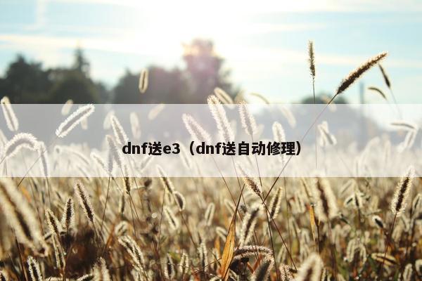 dnf送e3（dnf送自动修理）