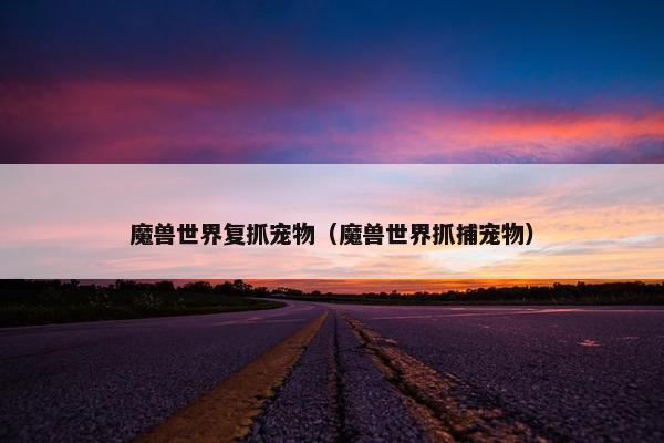 魔兽世界复抓宠物（魔兽世界抓捕宠物）