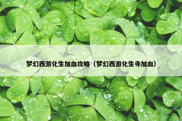 梦幻西游化生加血攻略（梦幻西游化生寺加血）