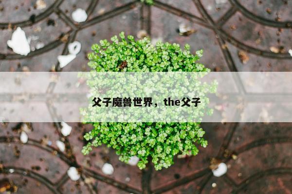 父子魔兽世界，the父子