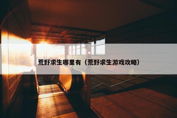 荒野求生哪里有（荒野求生游戏攻略）