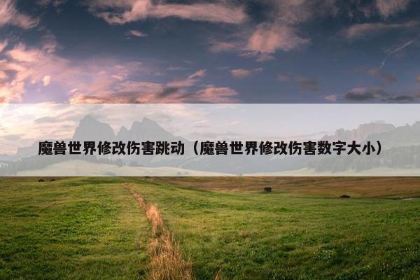 魔兽世界修改伤害跳动（魔兽世界修改伤害数字大小）