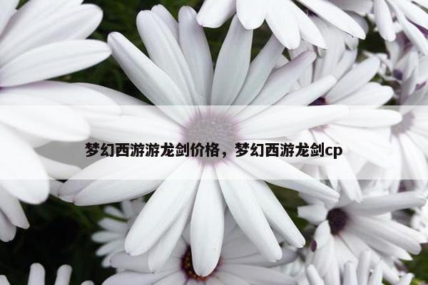 梦幻西游游龙剑价格，梦幻西游龙剑cp