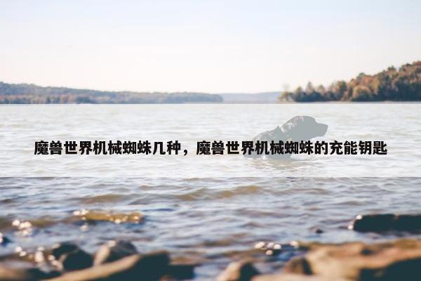 魔兽世界机械蜘蛛几种，魔兽世界机械蜘蛛的充能钥匙