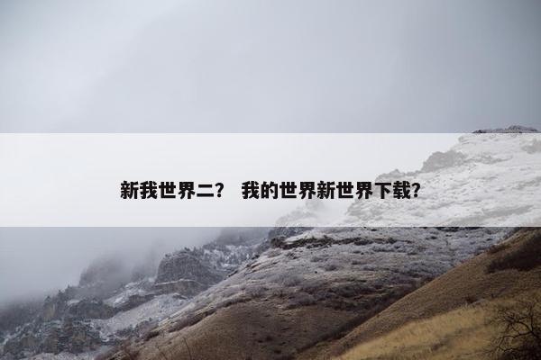 新我世界二？ 我的世界新世界下载？