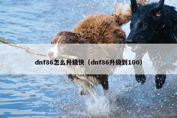 dnf86怎么升级快（dnf86升级到100）