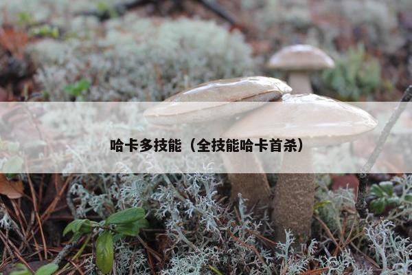 哈卡多技能（全技能哈卡首杀）