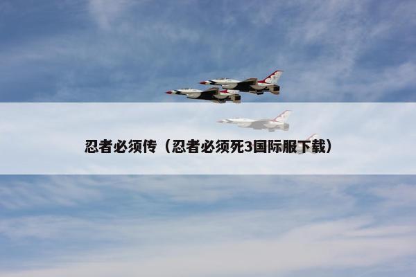忍者必须传（忍者必须死3国际服下载）