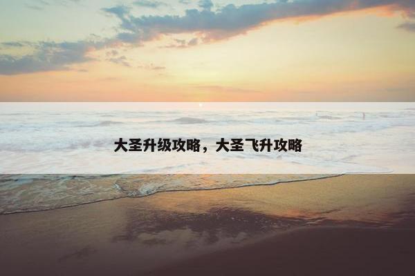 大圣升级攻略，大圣飞升攻略
