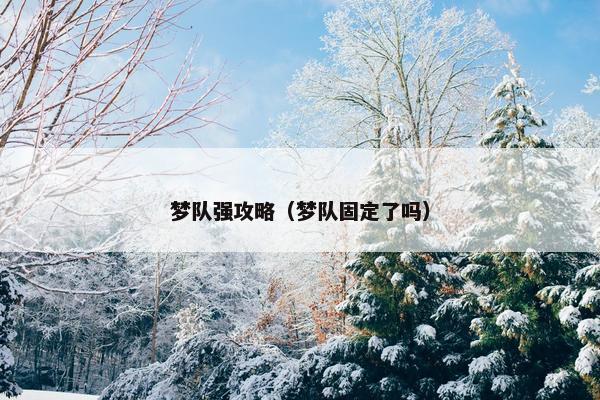 梦队强攻略（梦队固定了吗）