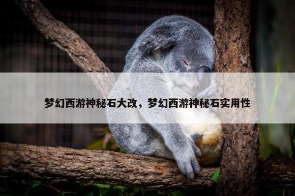 梦幻西游神秘石大改，梦幻西游神秘石实用性