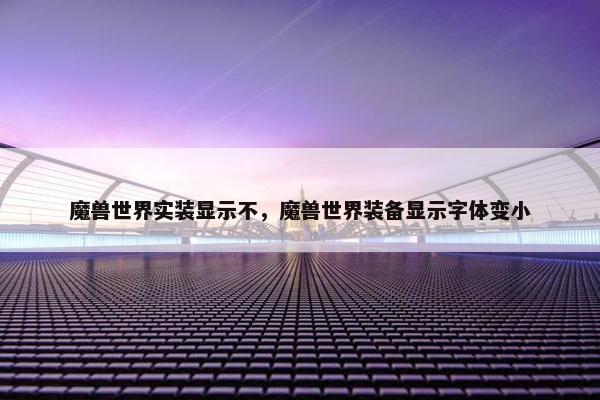 魔兽世界实装显示不，魔兽世界装备显示字体变小