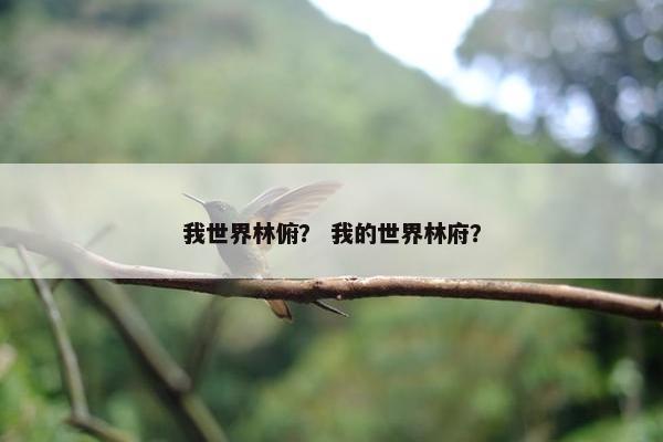 我世界林俯？ 我的世界林府？