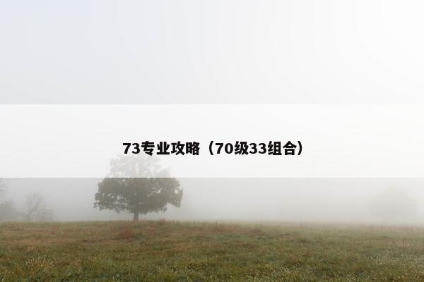 73专业攻略（70级33组合）
