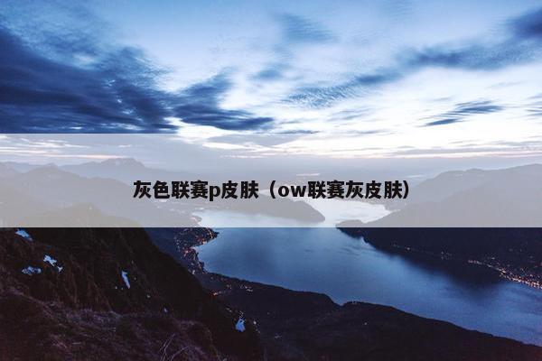 灰色联赛p皮肤（ow联赛灰皮肤）