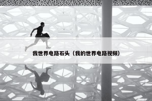 我世界电路石头（我的世界电路视频）